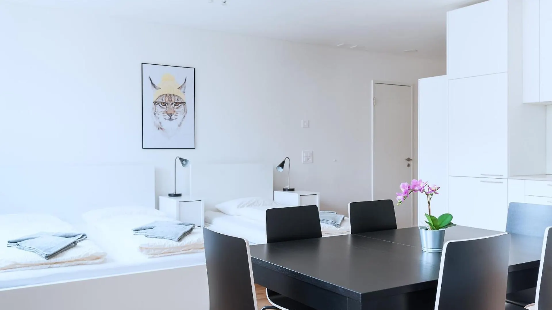 Hitrental Messe Apartments Basel 0*,